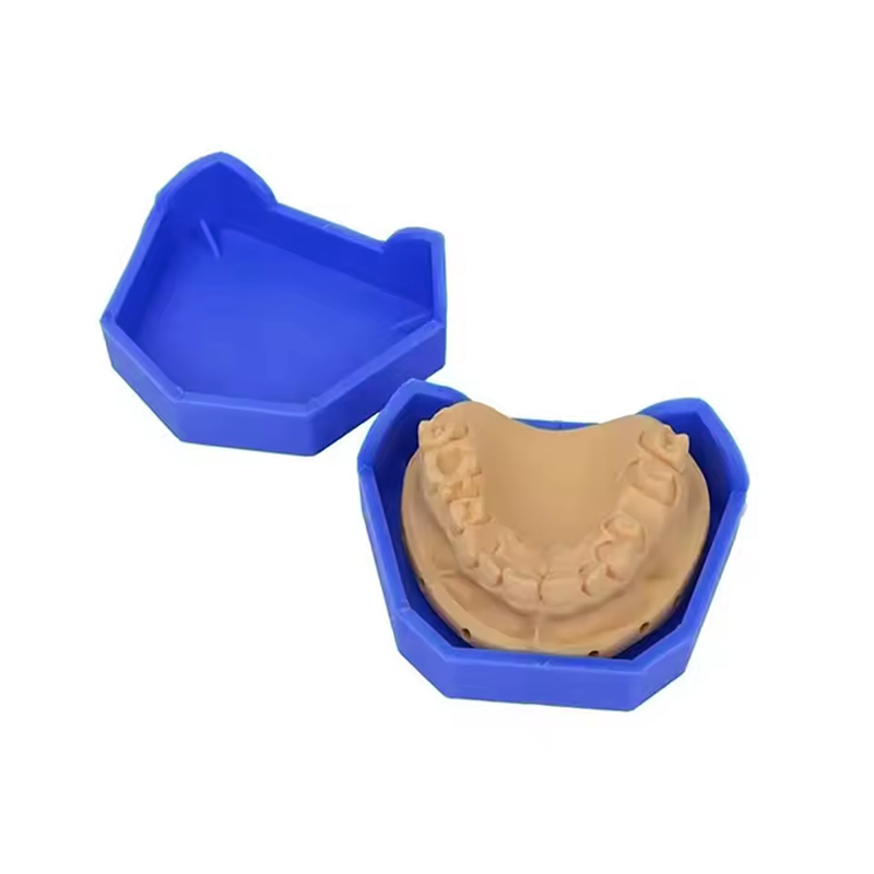 2/6Pcs Dental Model Base Silic - Model Kit Tool Set ulasan dan harga