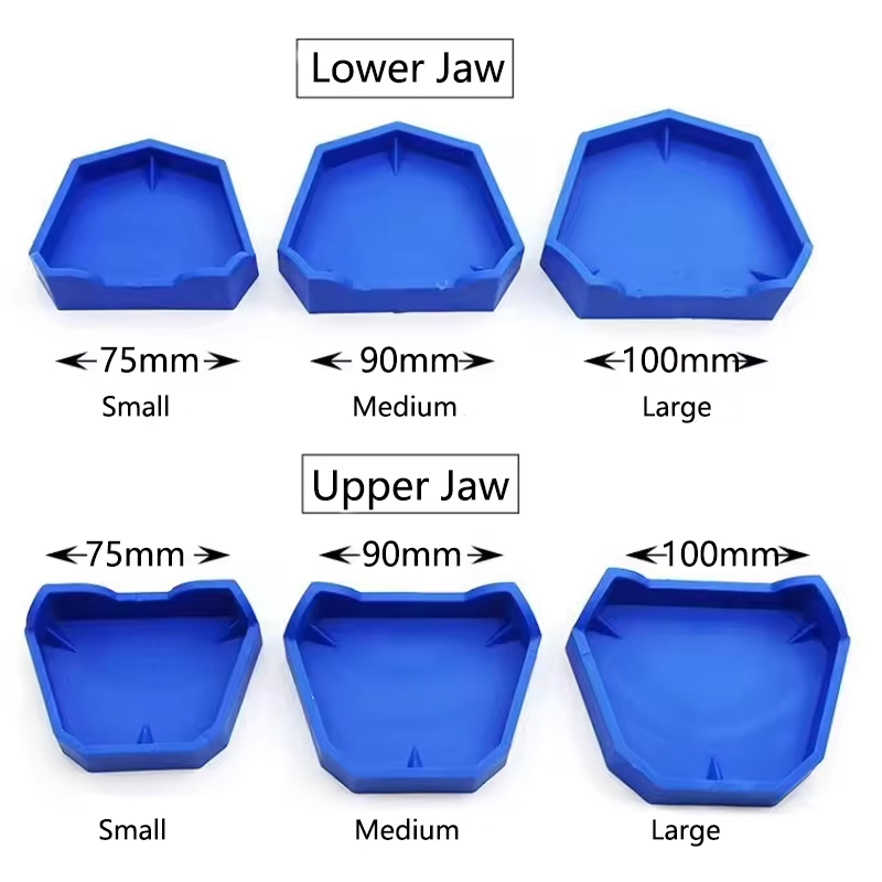 2/6Pcs Dental Model Base Silic - Model Kit Tool Set ulasan dan harga
